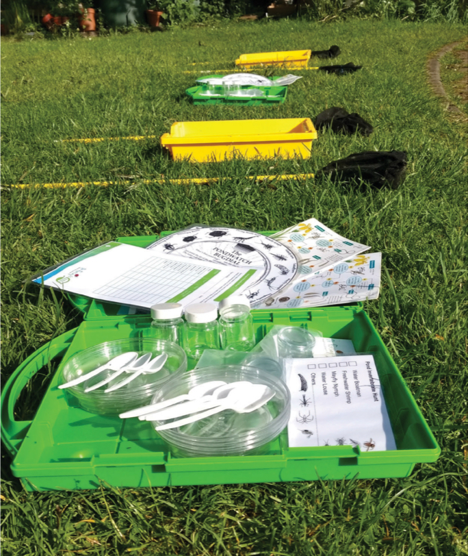 Gratnells trays on grass with lesson equipment.